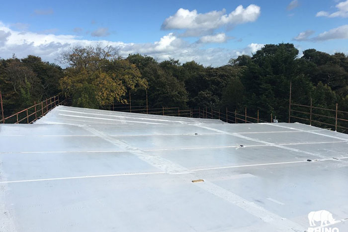 Commercial Roofing Services